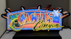 Cactus Canyon Logo Pin-Sign