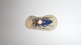 Addams Family Plastic 31-1664-37