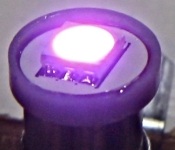 Purple 555 Super Brite LED Bulb