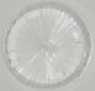 Circle (Round) Starburst Playfield Insert 1.18 Inch - Clear 50-23-13 / 03-8492-13