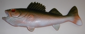 FISH ASSY